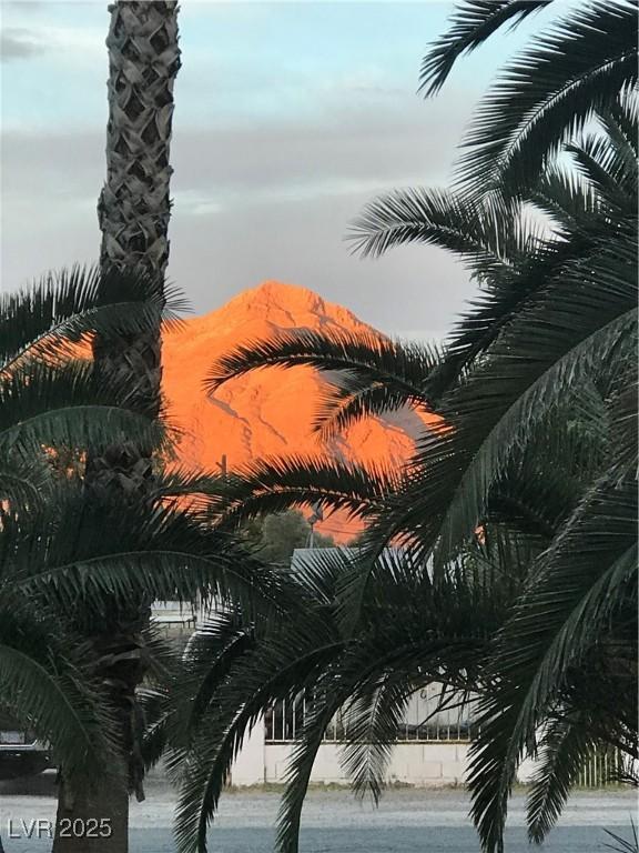 1385 Ringe Ln, Las Vegas, NV 89110 - water view