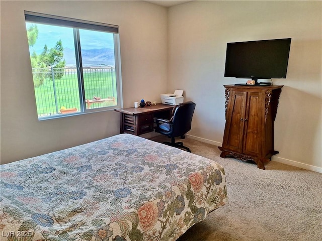 4286 E Cactus Canyon Dr, Pahrump, NV 89061 - bedroom featuring baseboards, light colored carpet, and multiple windows