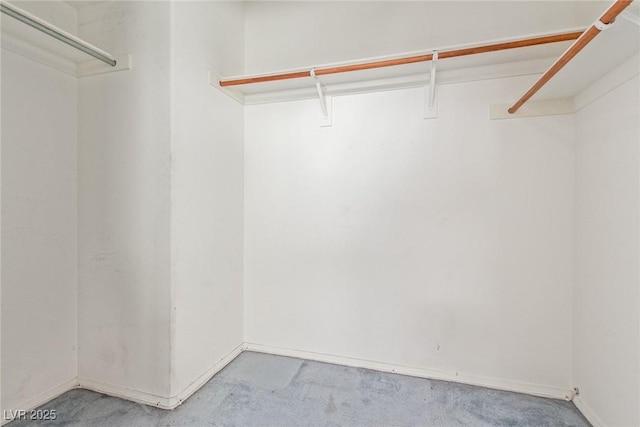 spacious closet with carpet
