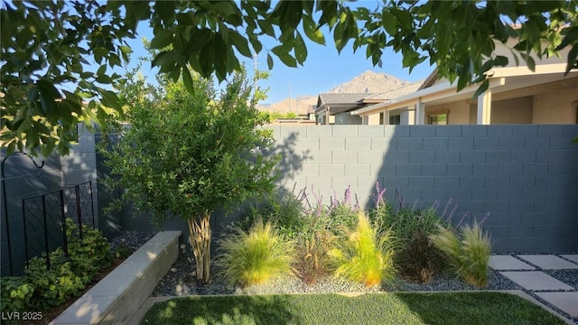 11813 Pippa Ave, Las Vegas, NV 89138 - view of yard