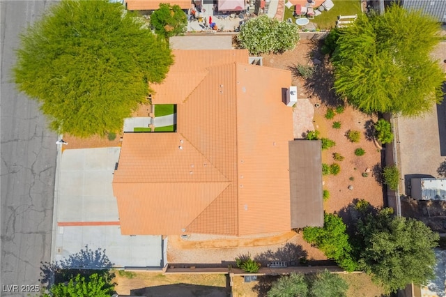 bird's eye view