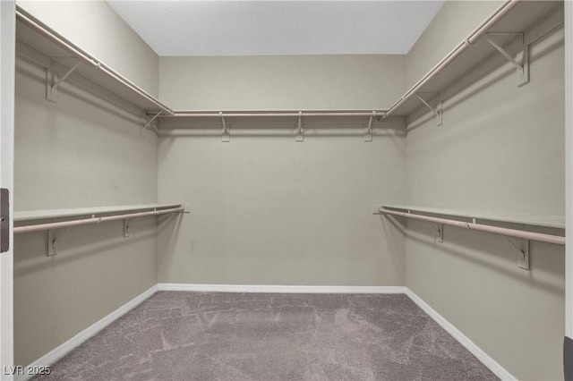 10976 Bluebell Basin Rd, Las Vegas, NV 89179 - walk in closet featuring carpet