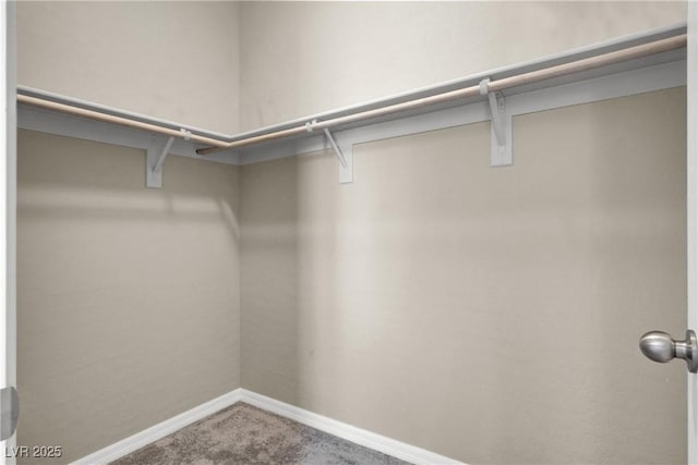 10976 Bluebell Basin Rd, Las Vegas, NV 89179 - spacious closet featuring carpet floors