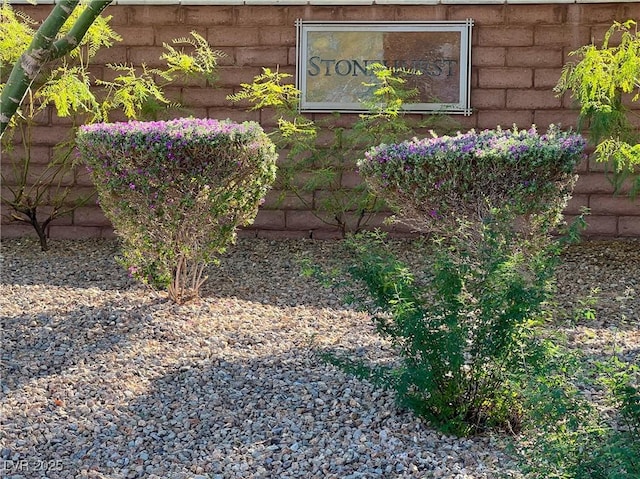 10976 Bluebell Basin Rd, Las Vegas, NV 89179 - exterior view