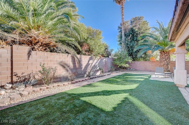 view of yard with a fenced backyard and a patio area