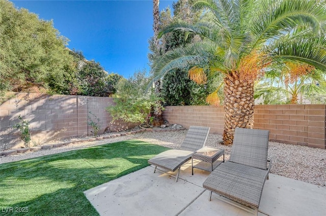 view of yard with a patio area and a fenced backyard