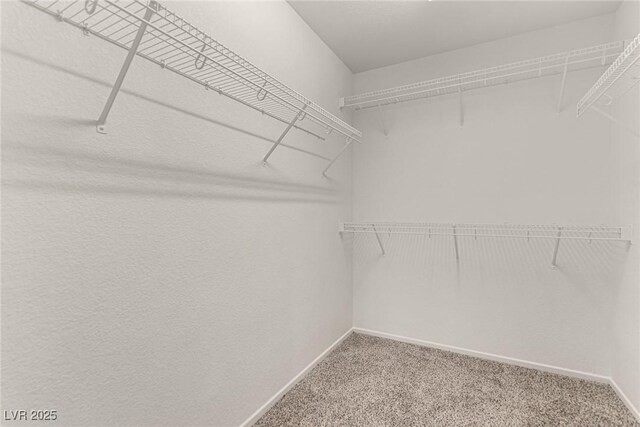 519 Brinkburn Point Ave, Las Vegas, NV 89178 - walk in closet featuring carpet floors