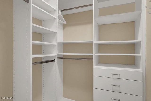 view of spacious closet