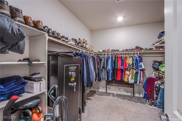 spacious closet with carpet