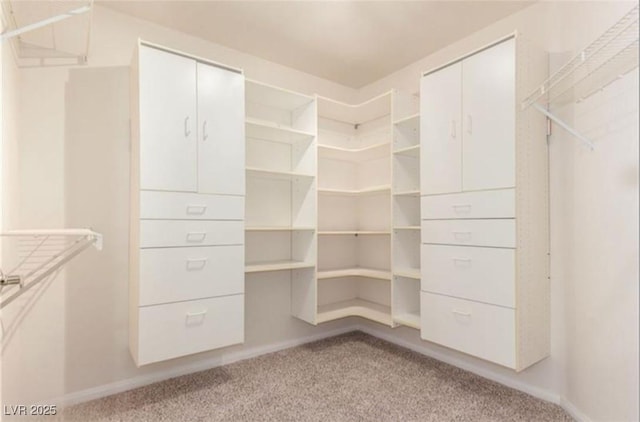 walk in closet featuring light carpet