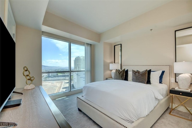 bedroom with carpet flooring