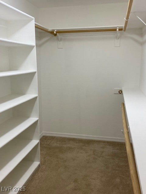 walk in closet with carpet flooring