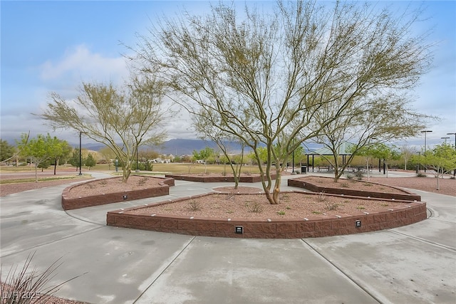 10664 Mount Jefferson Ave, Las Vegas, NV 89166 - surrounding community featuring a mountain view