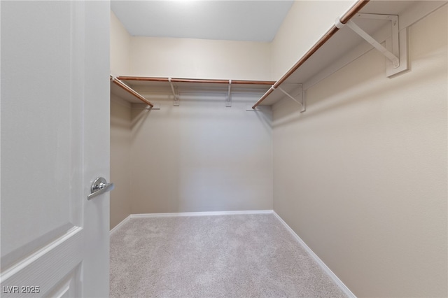 10664 Mount Jefferson Ave, Las Vegas, NV 89166 - spacious closet with carpet flooring