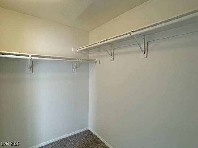 825 Happy Sparrow Ave, Henderson, NV 89052 - walk in closet featuring carpet flooring