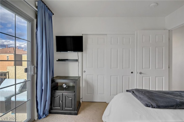 bedroom featuring access to outside, light carpet, and a closet