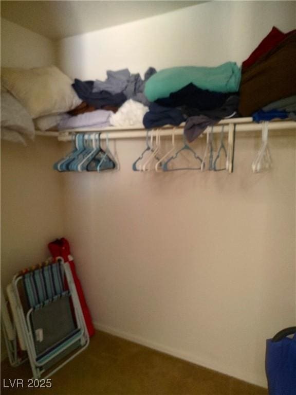 spacious closet with carpet