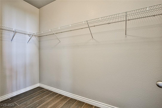 walk in closet featuring dark wood finished floors