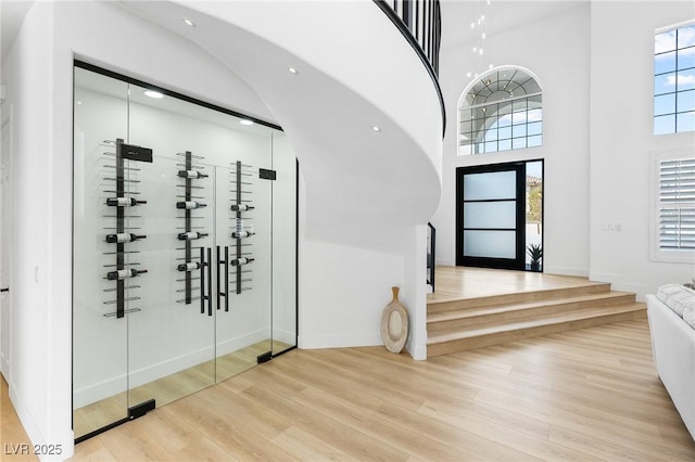 entryway with baseboards, a high ceiling, wood finished floors, and plenty of natural light