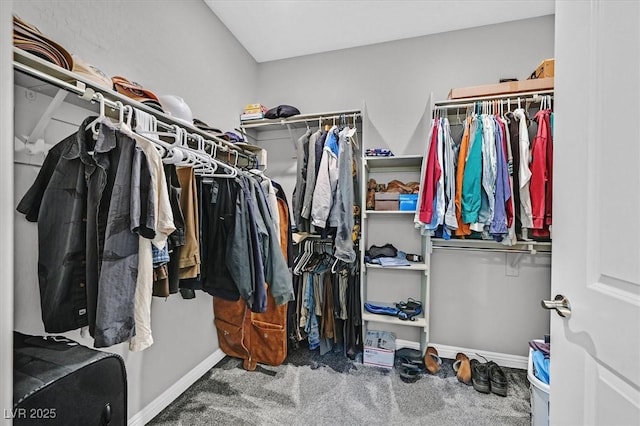 spacious closet featuring carpet floors
