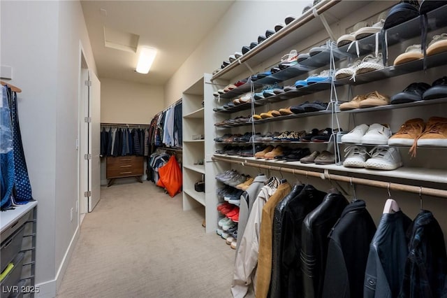 spacious closet featuring carpet flooring