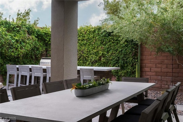 view of patio / terrace with outdoor dining area and exterior kitchen
