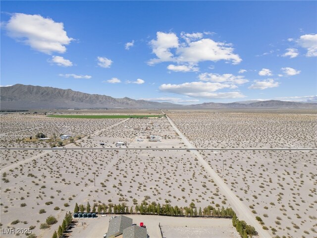 2951 W Frontier St, Amargosa Valley, NV 89020 - photo 13