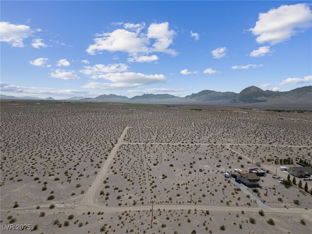 2951 W Frontier St, Amargosa Valley, NV 89020 - photo 24