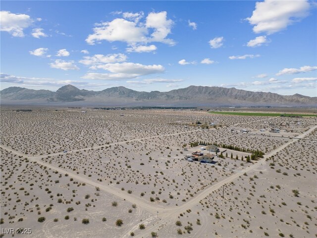2951 W Frontier St, Amargosa Valley, NV 89020 - photo 25