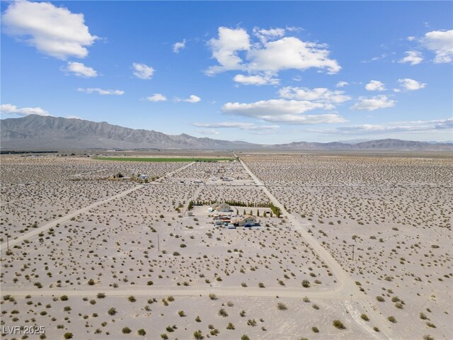 2951 W Frontier St, Amargosa Valley, NV 89020 - photo 26