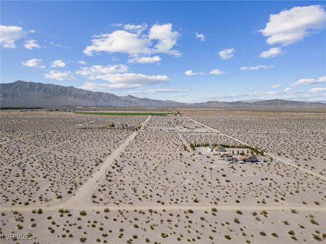 2951 W Frontier St, Amargosa Valley, NV 89020 - photo 27