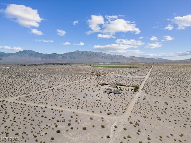 2951 W Frontier St, Amargosa Valley, NV 89020 - photo 28
