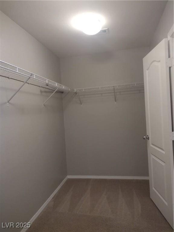 walk in closet featuring carpet