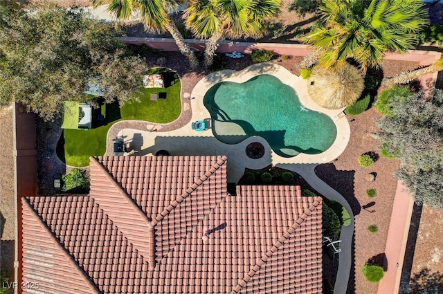 drone / aerial view