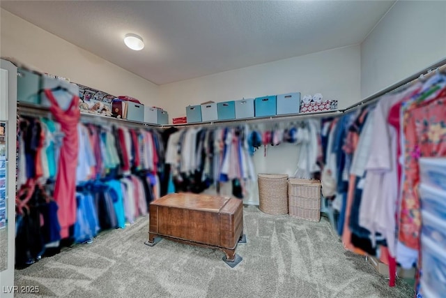 2733 Auchmull St, Henderson, NV 89044 - spacious closet with carpet