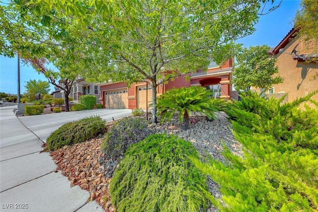2733 Auchmull St, Henderson, NV 89044 - view of property hidden behind natural elements with driveway, an attached garage, and stucco siding