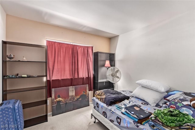 bedroom with carpet floors