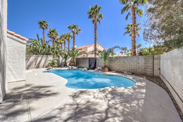 view of pool with a fenced backyard, a patio area, and a fenced in pool