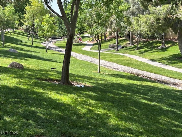 view of community with a yard