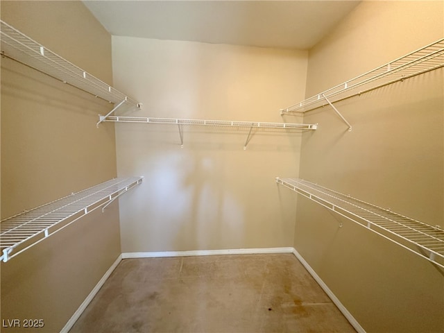 view of spacious closet