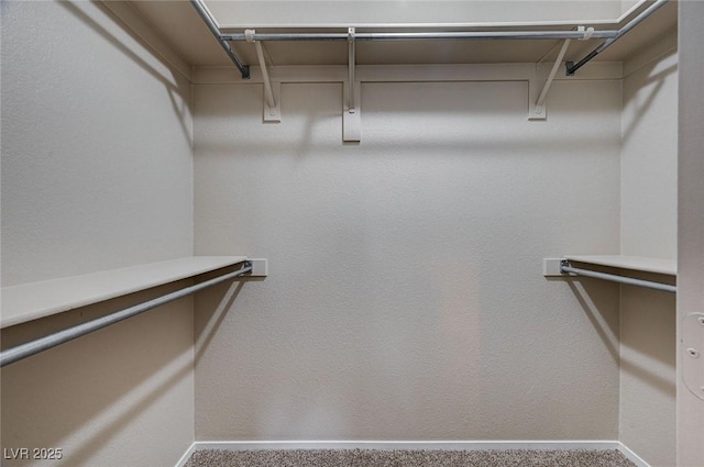 8028 Hurricane Cove Ct, Las Vegas, NV 89129 - walk in closet with carpet