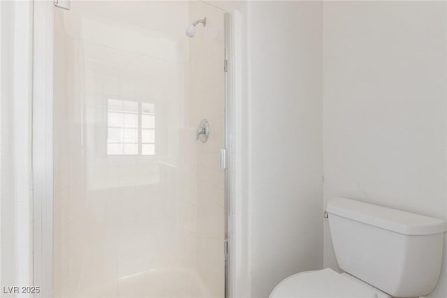 bathroom with toilet and a stall shower