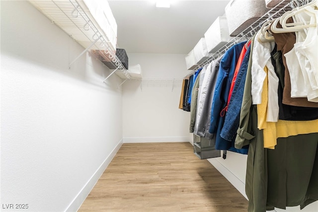 7307 Grace Estate Ave, Las Vegas, NV 89113 - spacious closet featuring light wood-type flooring