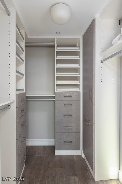 spacious closet featuring dark wood-style flooring