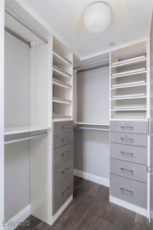 walk in closet with dark wood finished floors