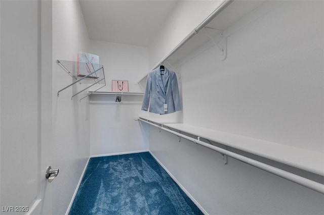 2305 W Horizon Ridge Pkwy Unit 3713, Henderson, NV 89052 - walk in closet with dark colored carpet