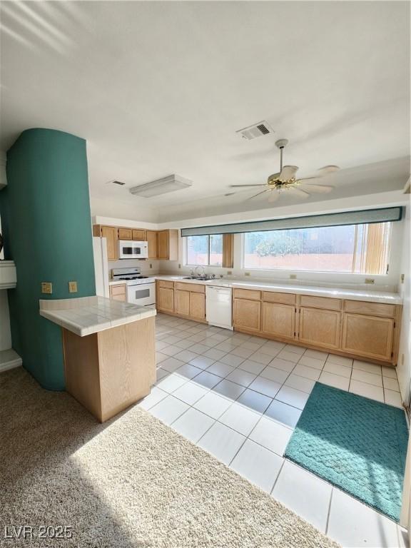 8788 Elise Ct, Henderson, NV 89074 - photo 10