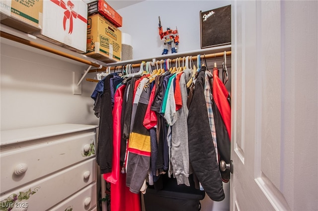 view of spacious closet