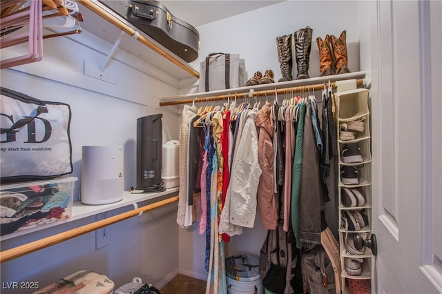 view of spacious closet