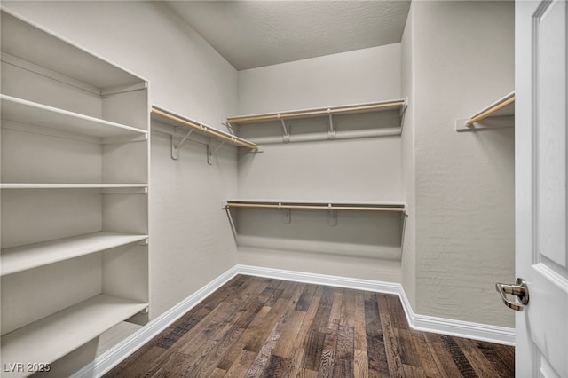 spacious closet featuring wood finished floors